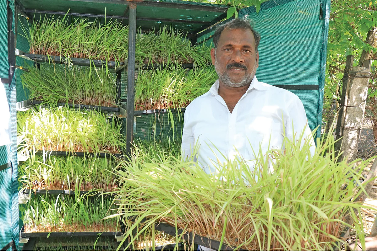 பசுந்தீவனத்துடன் ஆதித்தன்