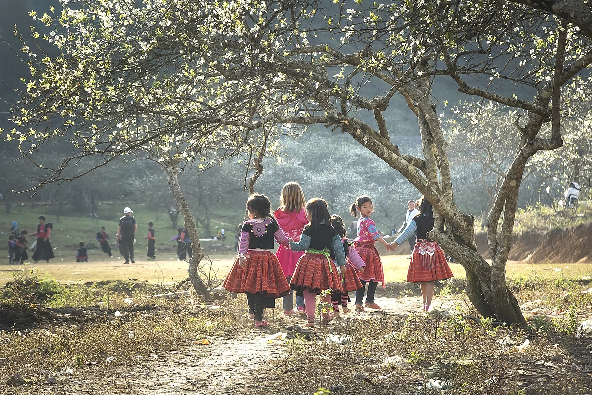 Representational Image