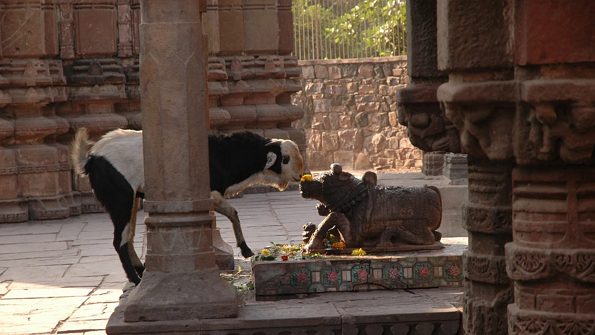 Representational Image