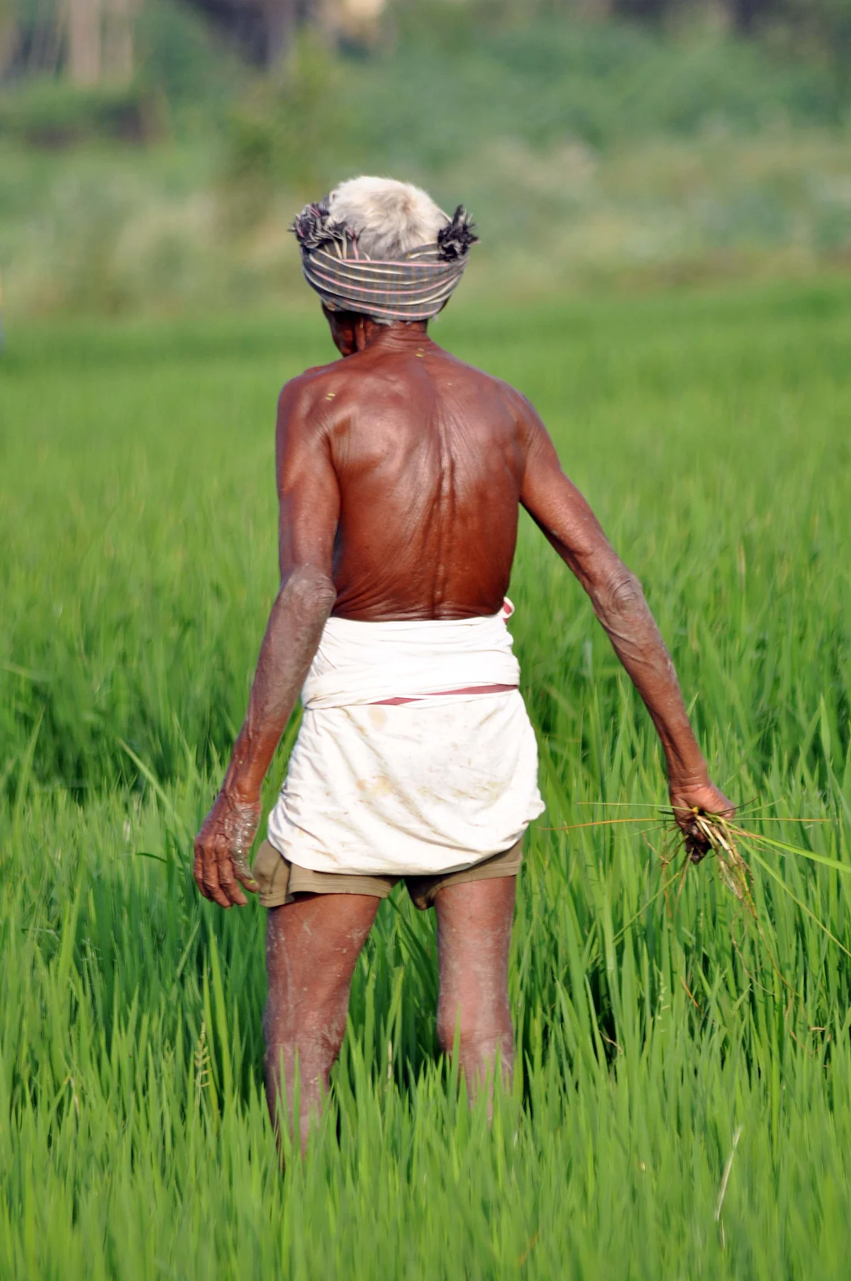 Representational Image