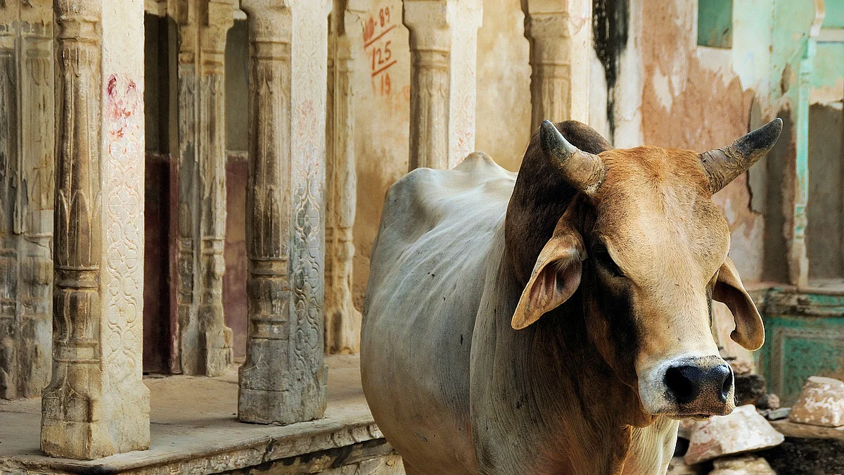 Representational image
