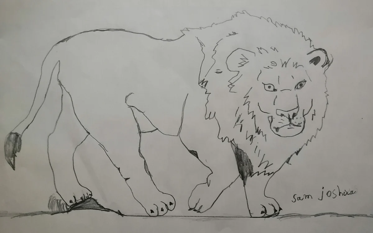 Lion