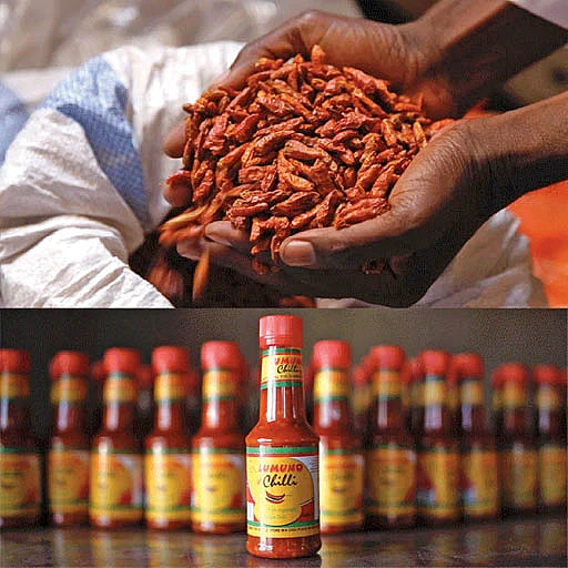 மிளகாய் சாஸ்