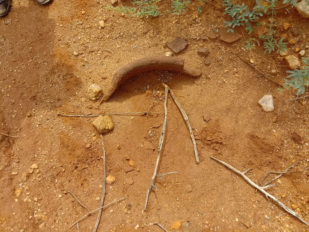 முதுமக்கள் தாழி