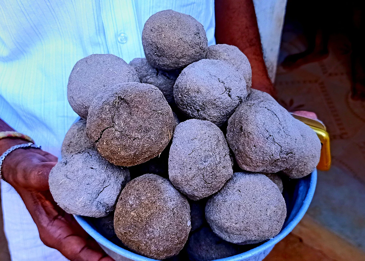 விபூதிக்கு சாண உருண்டை
