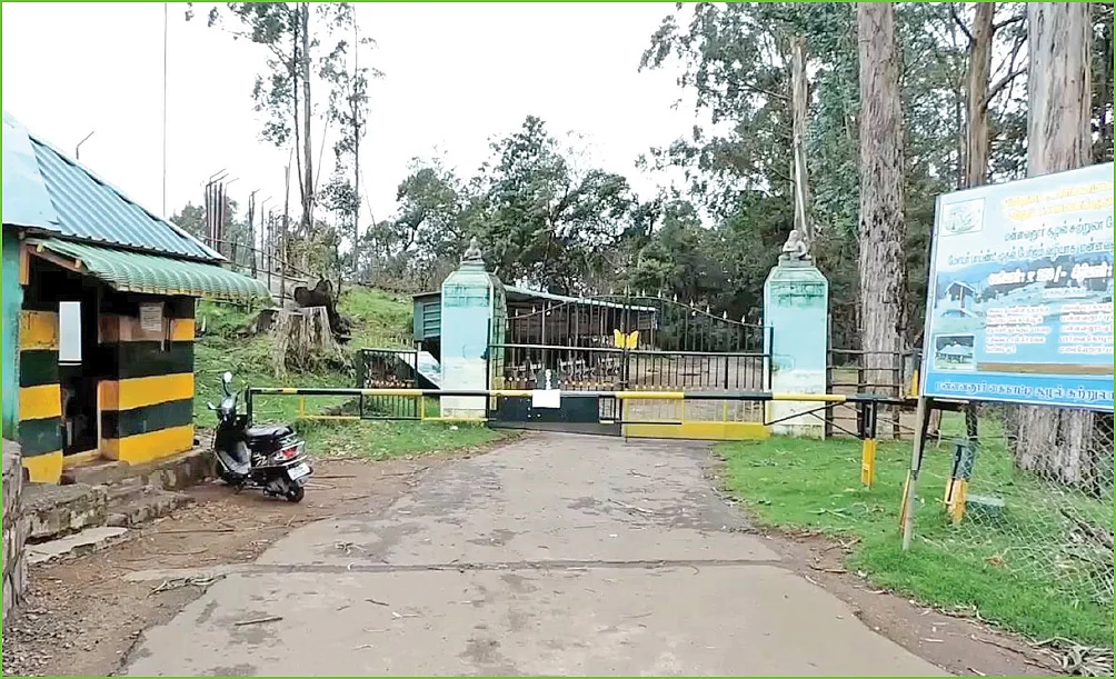 ஊரடங்கில் உல்லாசம்... தடையை மீறி ஏரியில் மீன்பிடித்த விமல், சூரி!