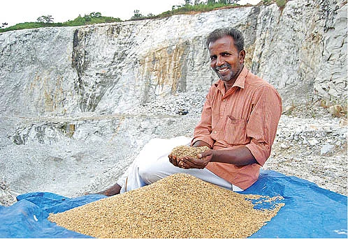 விளைவித்த நெல்லுடன்