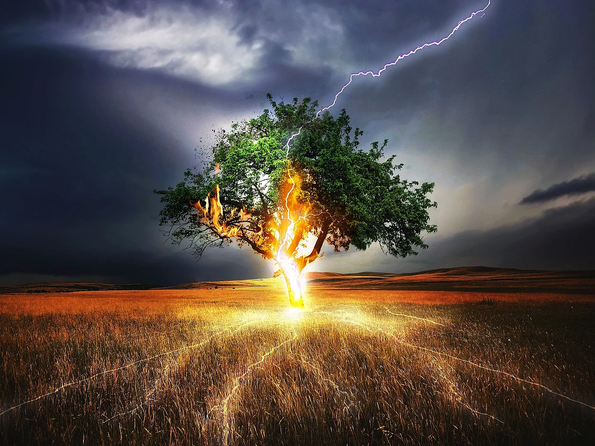 Lightning Strikes: பீகார், உத்தரப்பிரதேசத்தில் பலியான 107 உயிர்கள்... காலநிலை மாற்றம் காரணமா?