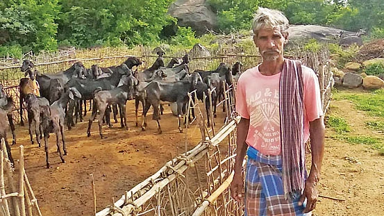 கிருஷ்ணன்