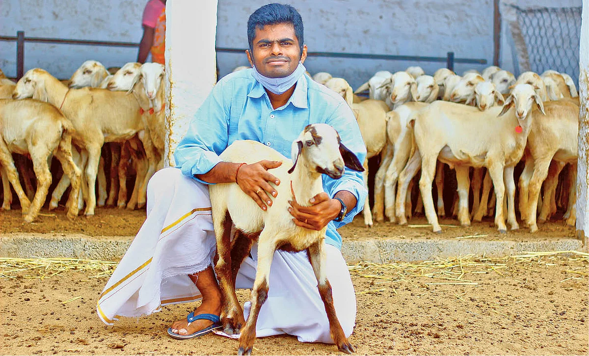 ஆடுகளுடன் அண்ணாமலை