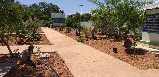 விதை விதைக்கும் மாணவர்கள்