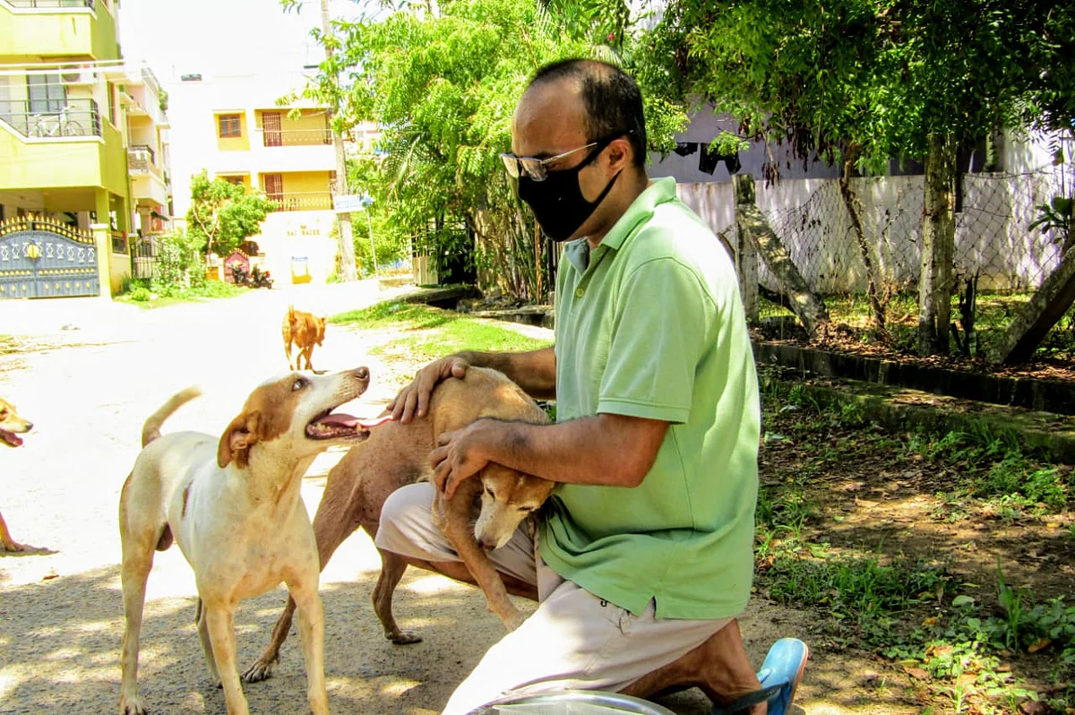 நாய்களுக்கு உணவு வழங்கும் சுமித்
