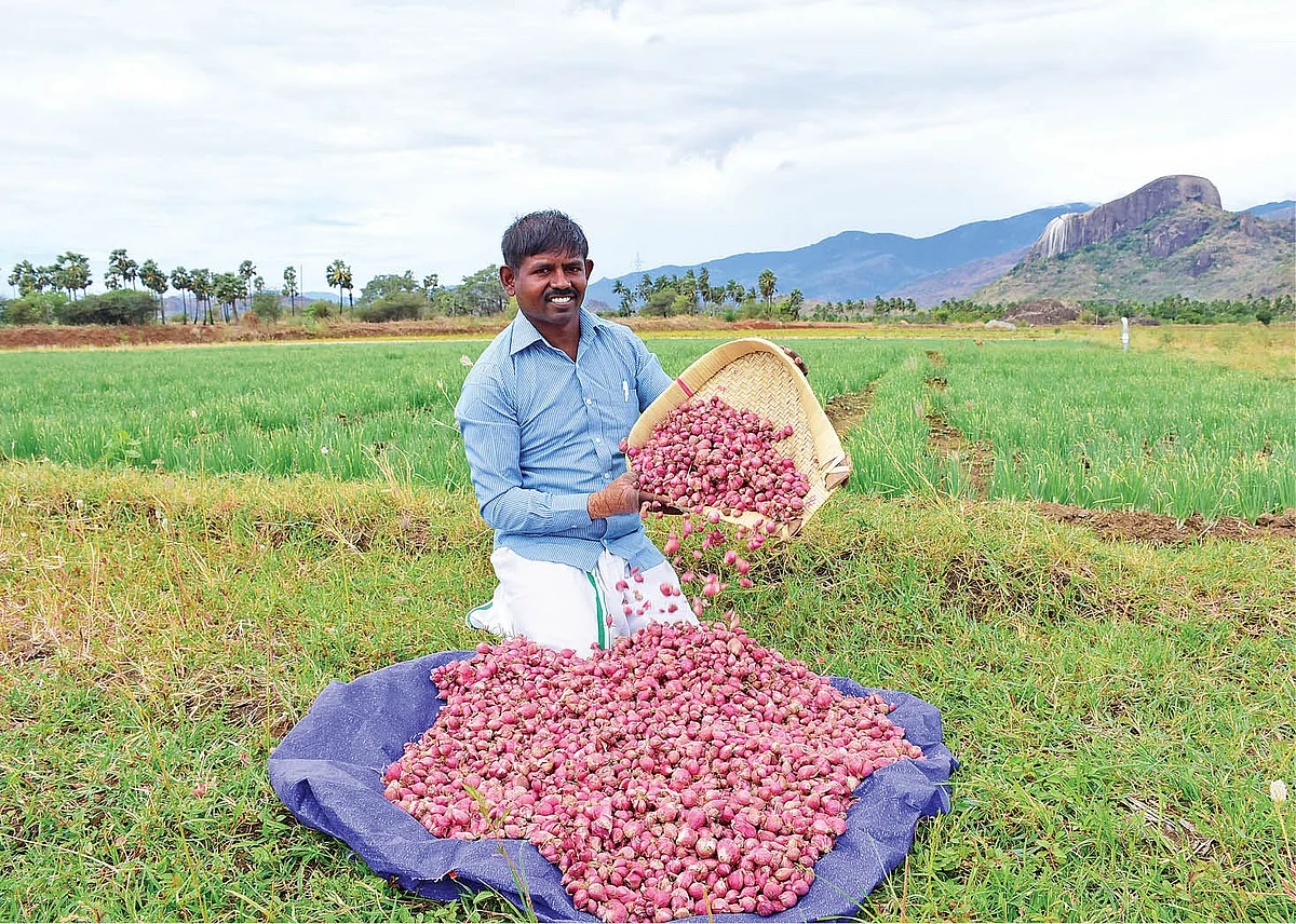 அறுவடை செய்த வெங்காயத்துடன் வெற்றிவேல் முருகன்