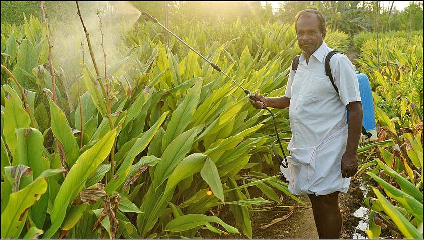 இயற்கை வேளாண்மை
