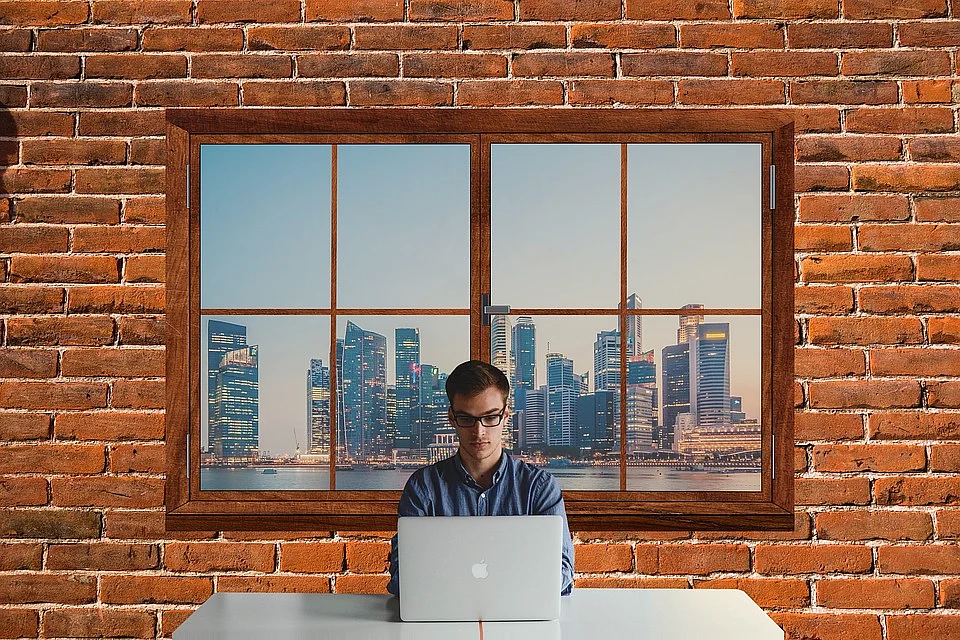 IT Professional
