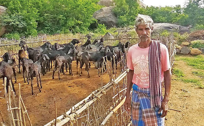 கிருஷ்ணன்