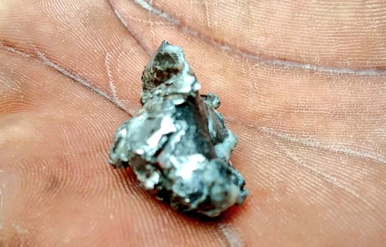 யானையை தாக்கிய புல்லட்