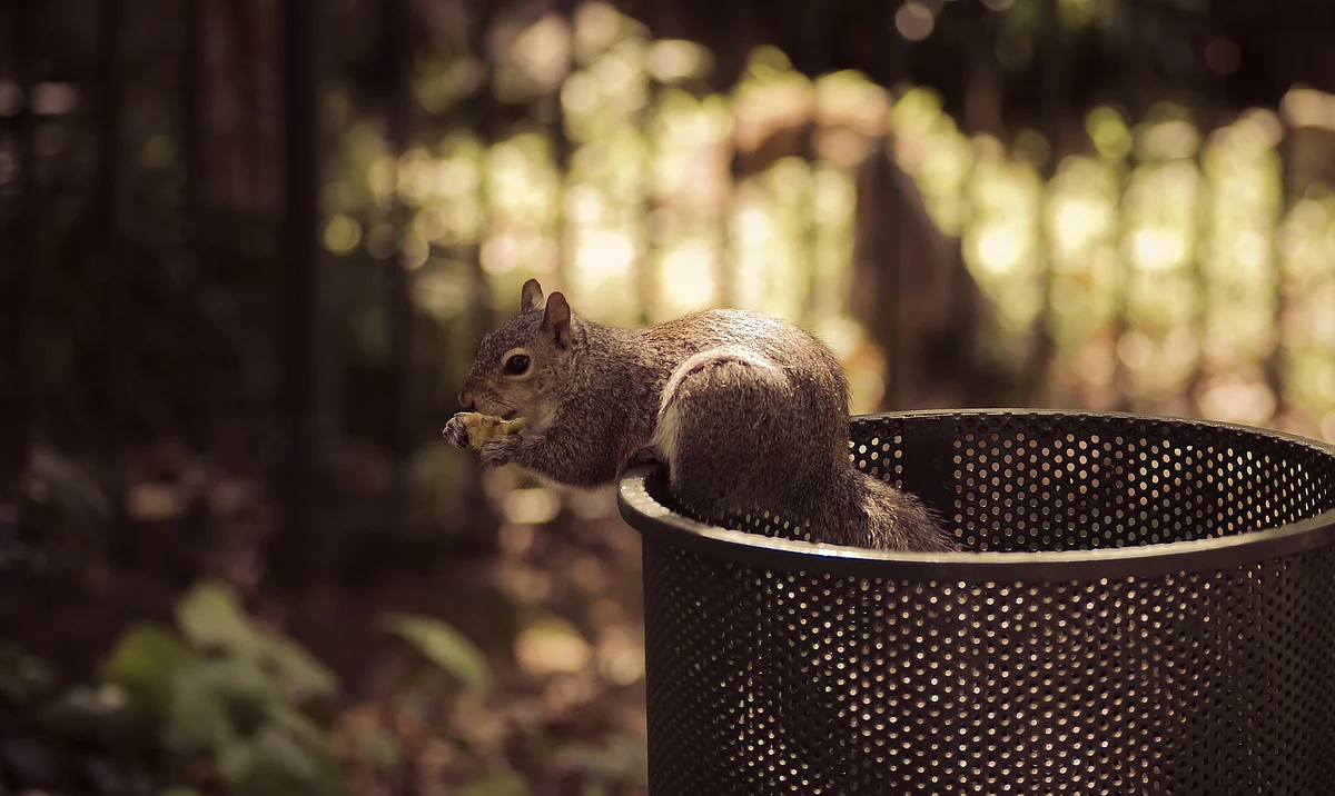 Representational Image