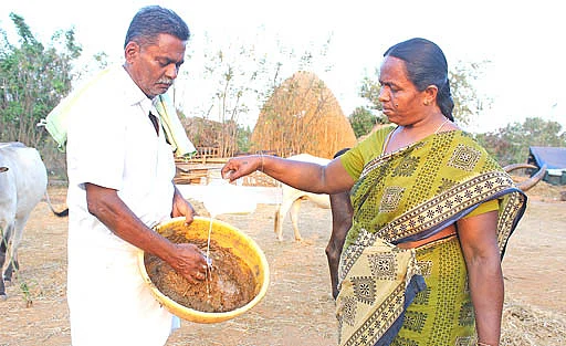 இயற்கை வேளாண்மை