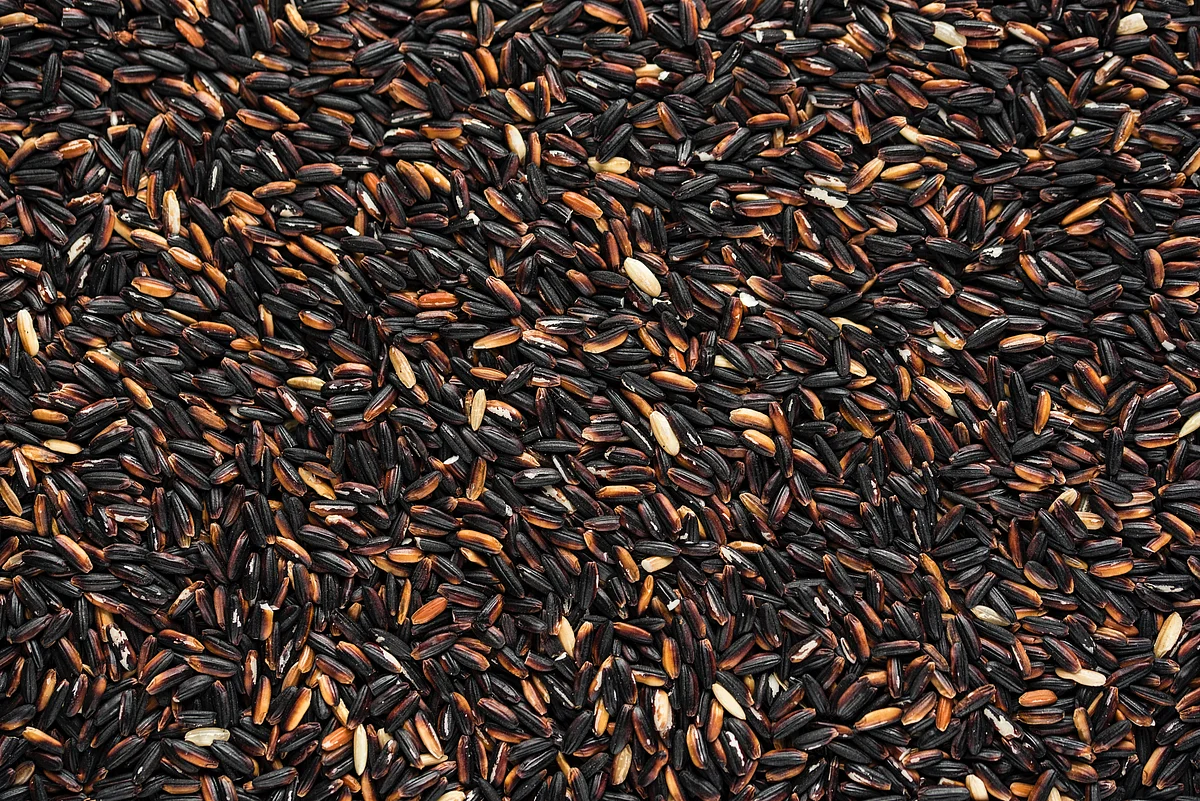 Manipur black rice