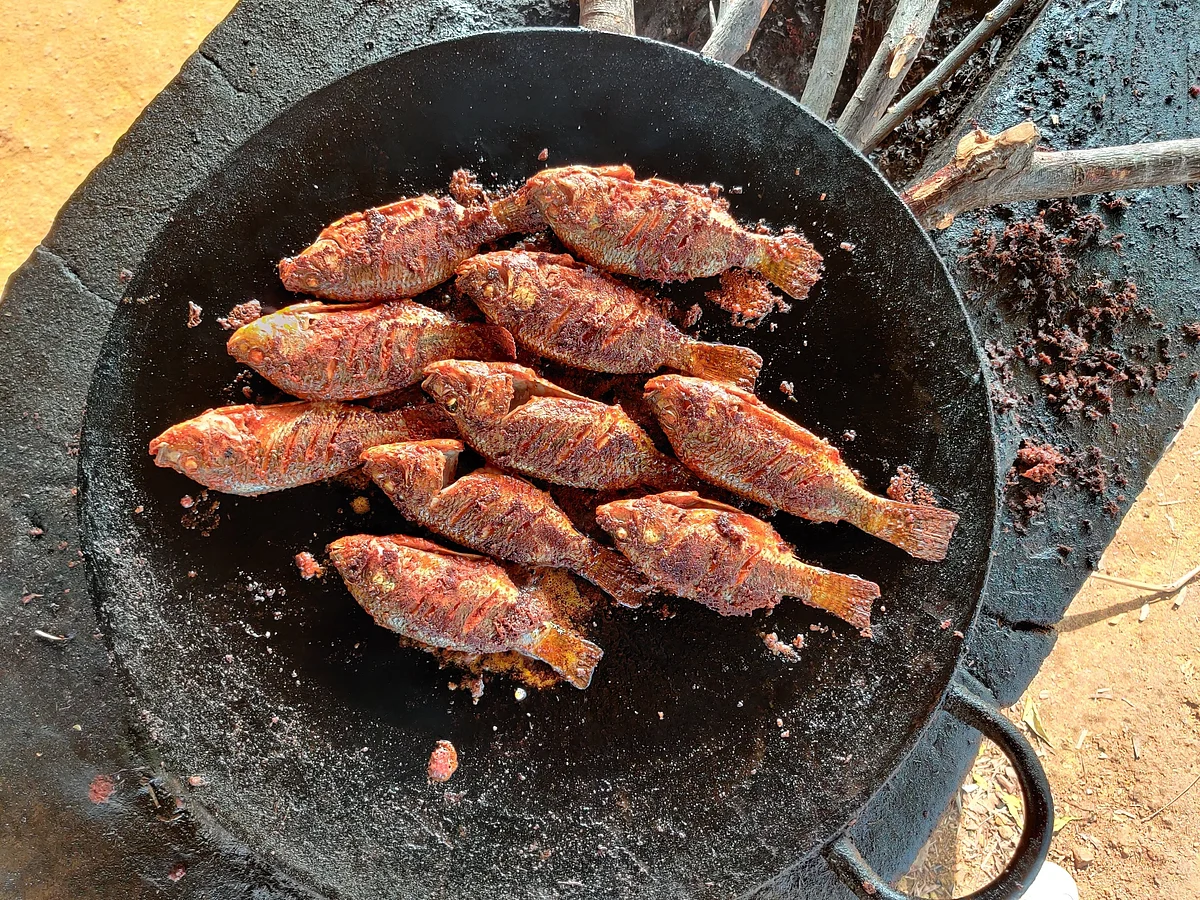 Fish