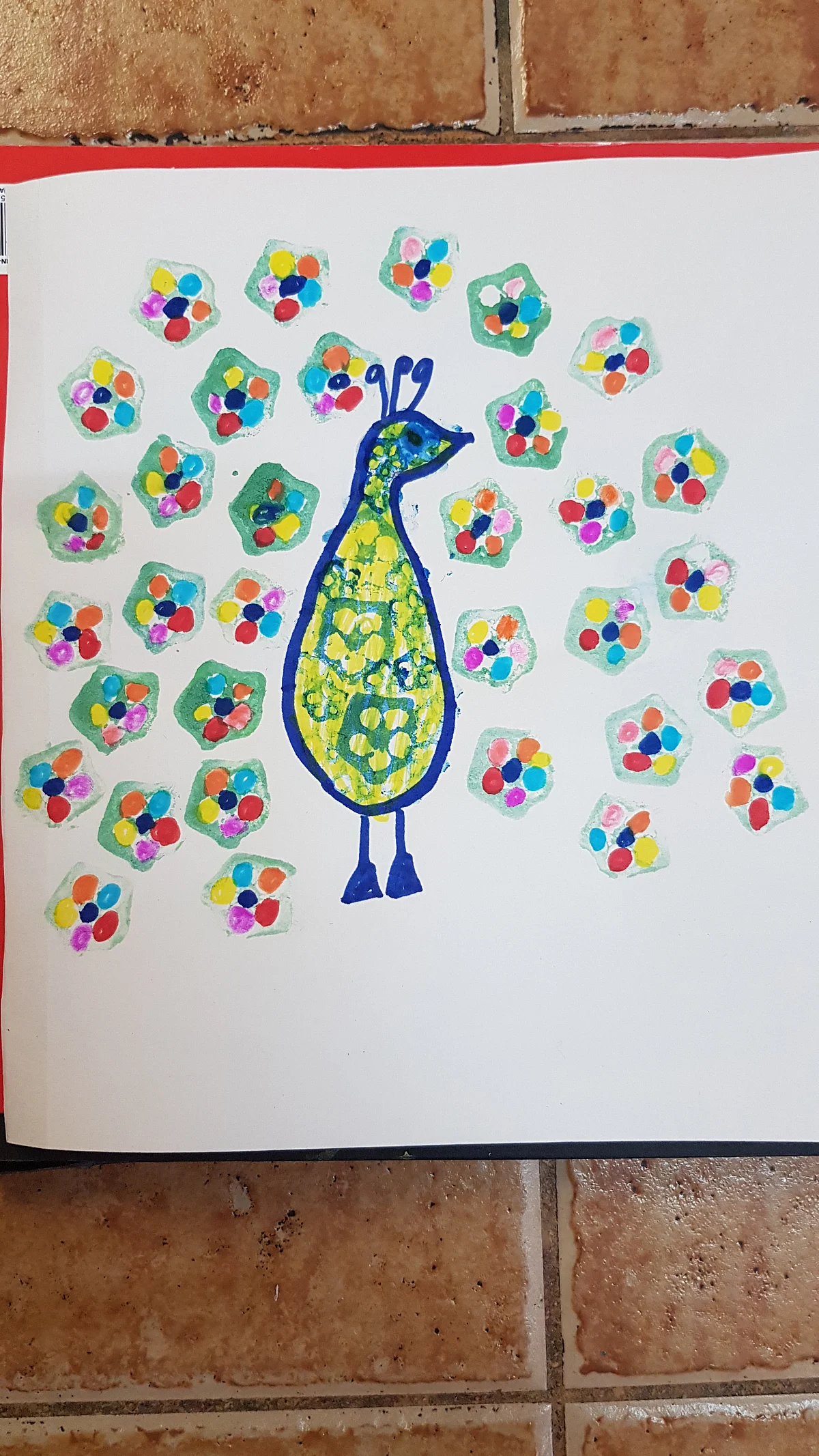 Ladies finger Peacock