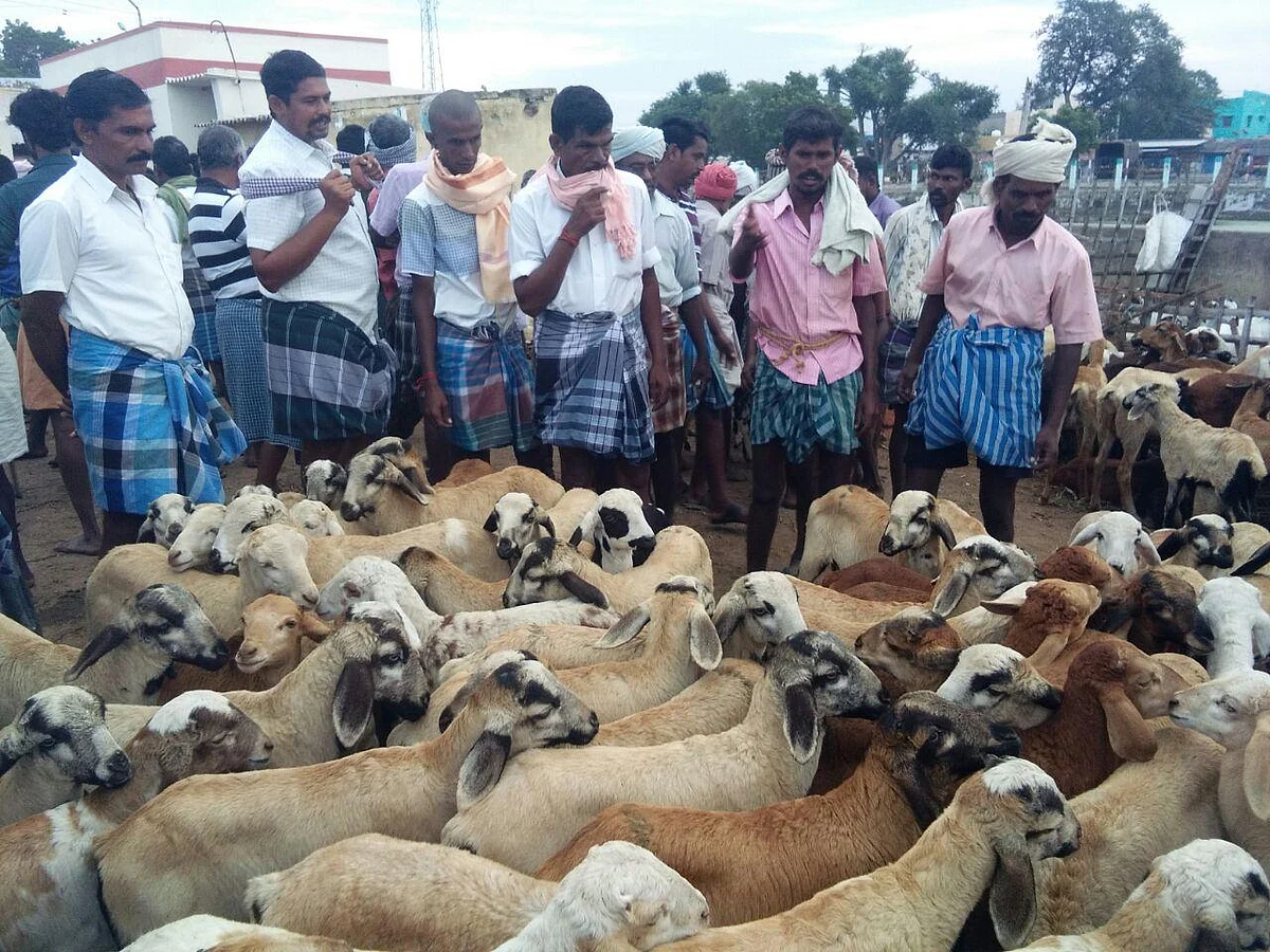 கடந்த ஆண்டு விற்பனை