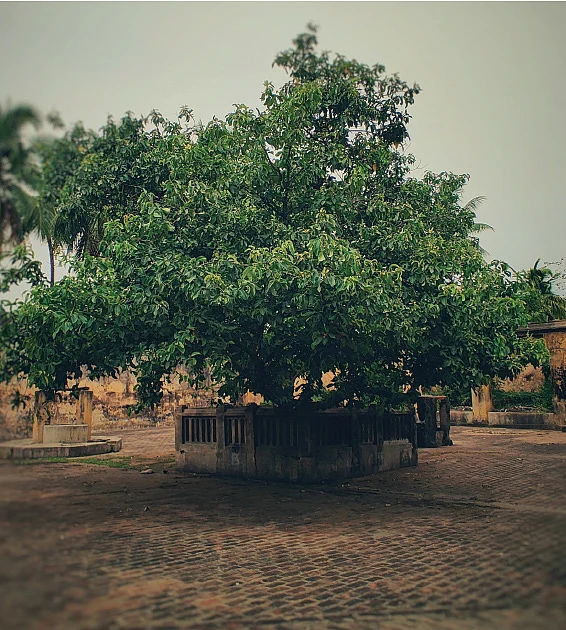 மன்மதனை எரித்த குறுக்கை வீரட்டானர்!