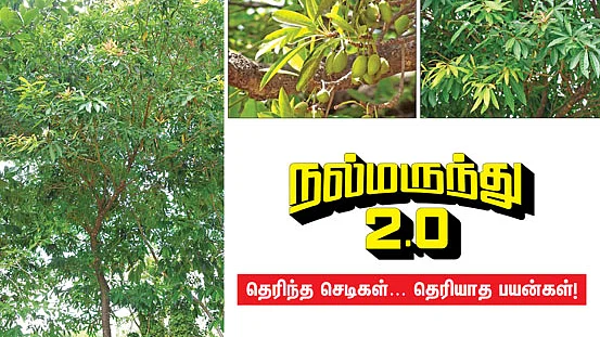 நல்மருந்து 2.0