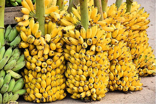 வாழைப்பழம்