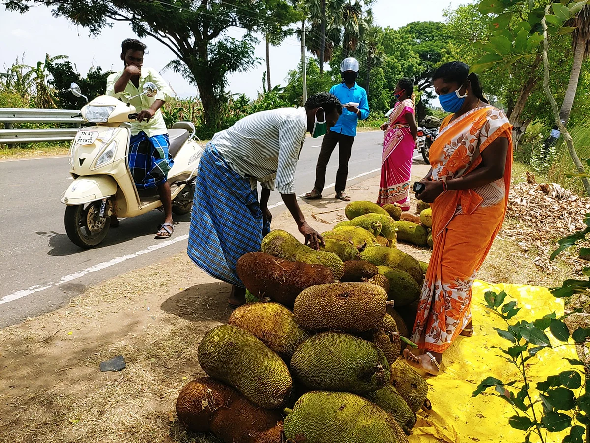 பலாப்பழம் விற்பனை