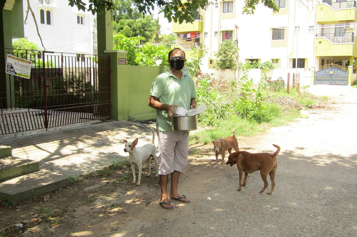 நாய்களுக்கு உணவு வழங்கும் சுமித்