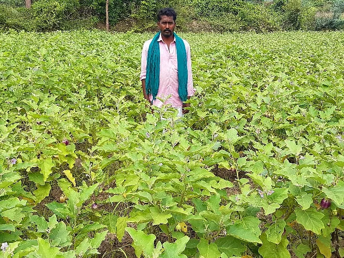 வெளிநாட்டு வேலை டு இயற்கை விவசாயம்! -அசத்தும் சிவகங்கை விவசாயி