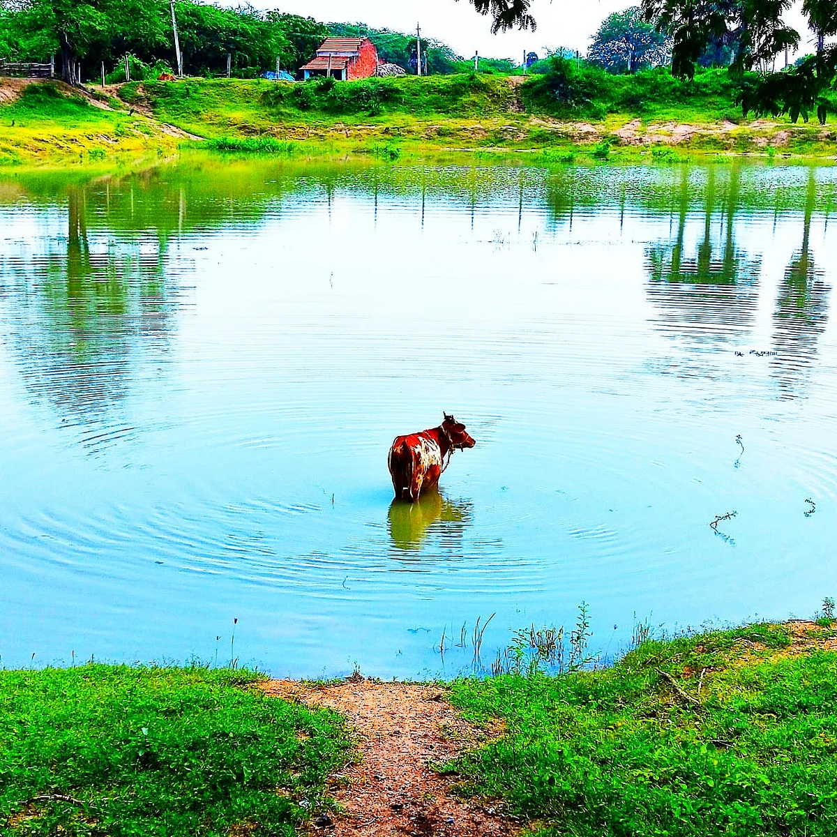 மதுரை