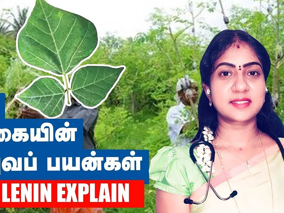 ஆண்மையை அதிகரிக்க இதை சாப்பிடலாம்! | Dr.Asha Lenin Explains | Homeopathy Doctor