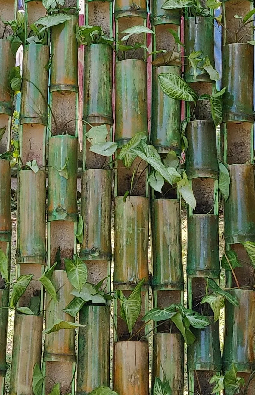 வெர்டிகல் கார்டன்