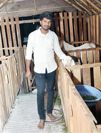 லாபத்தில் ஆட்டுப் பண்ணை
பிசினஸ்..! - ஆச்சர்யப்படுத்தும் எம்.பி.ஏ பட்டதாரி!