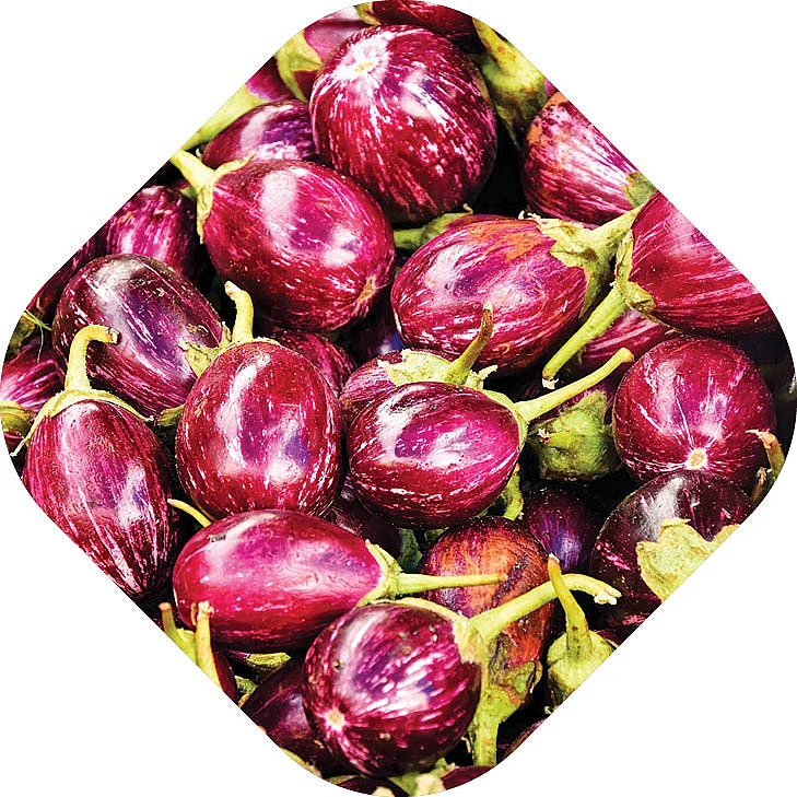 கத்திரிக்காய்
