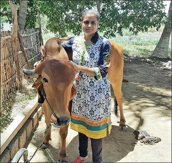 நாட்டு மாட்டுடன் கவிதா