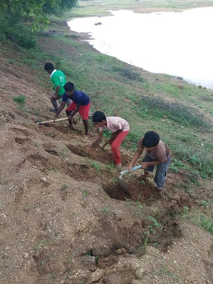 செடி நடவு செய்யும் பணியில்
