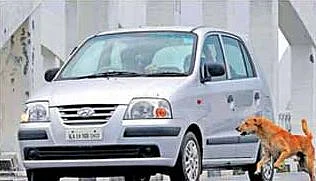 வாகனத்தை விரட்டும் தெரு நாய்
