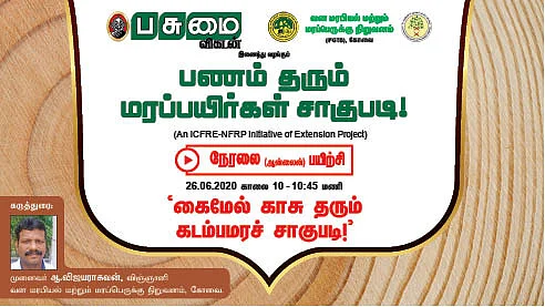 கைமேல் காசு தரும் கடம்ப மரச் சாகுபடி!