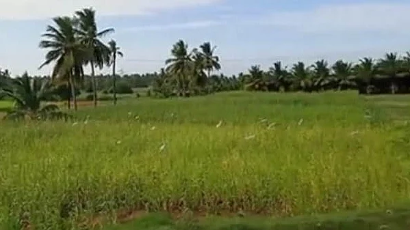 சுப்புராயன் தோட்டம்