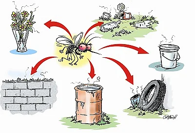 Dengue