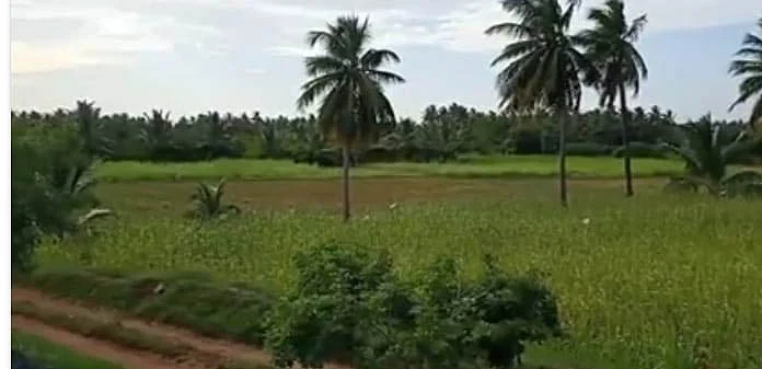 சுப்புராயன் தோட்டம்