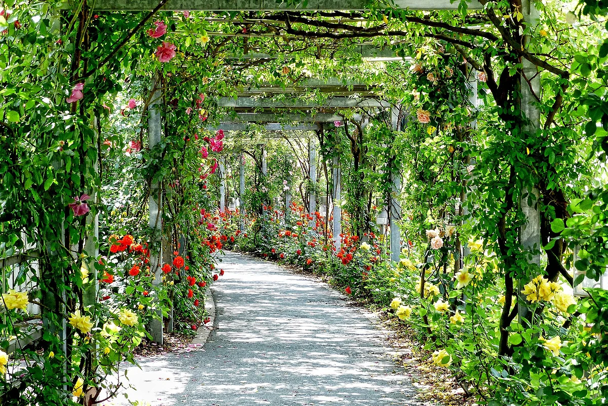 Representational Image