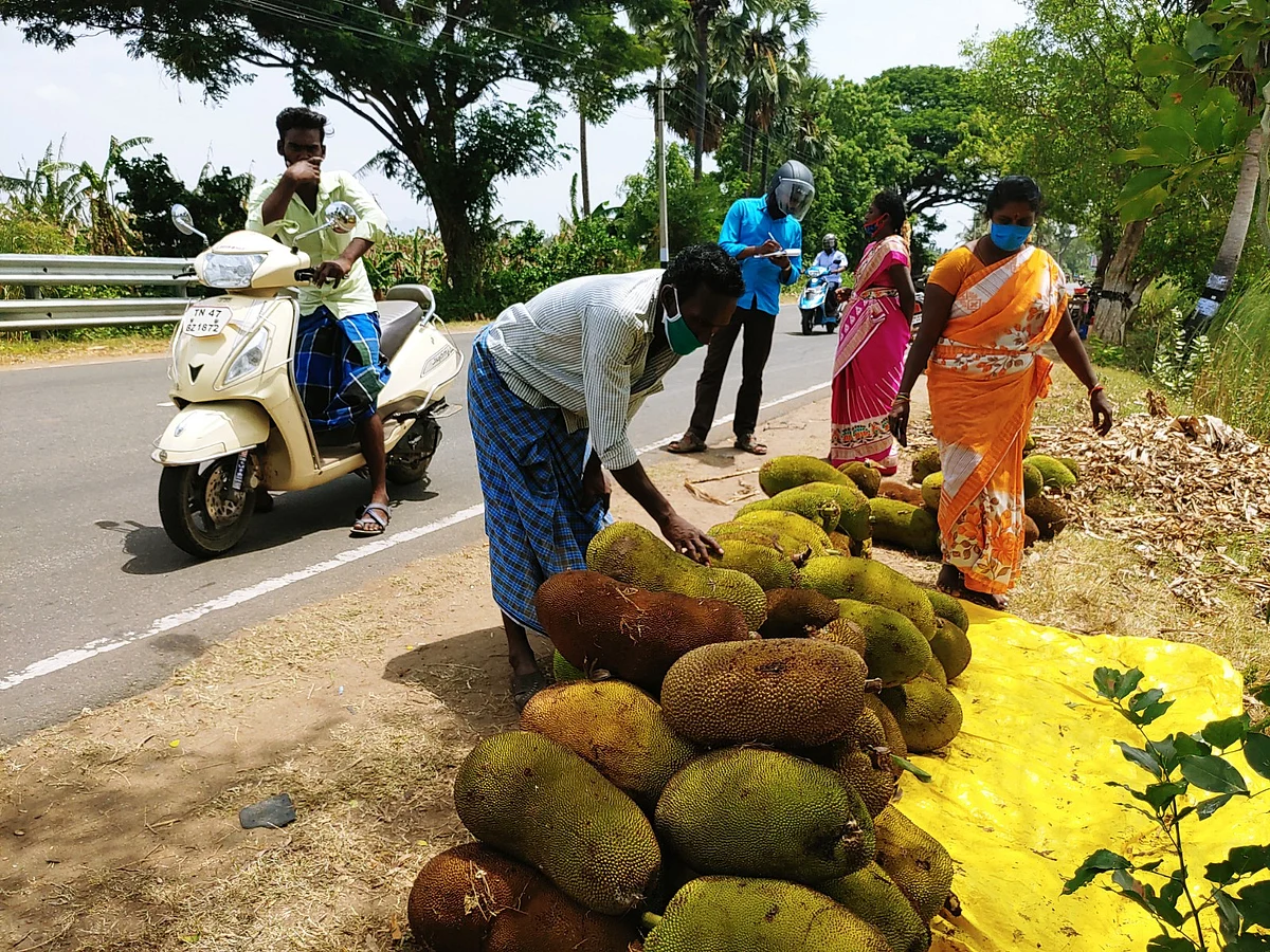 பலாப்பழம் விற்பனை