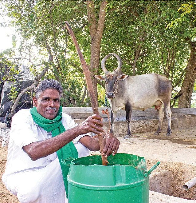 இயற்கை வேளாண்மை - 12: பயிர்களின் தற்காப்பு கவசம் தசகவ்யா!