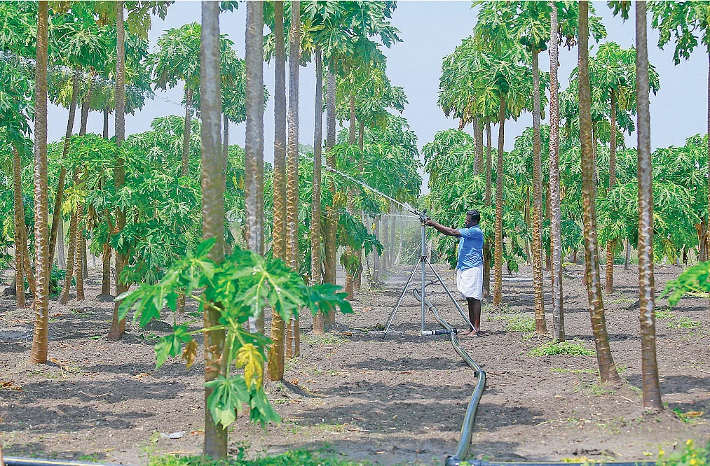 ரெயின்கன் மூலம் பாசனம்