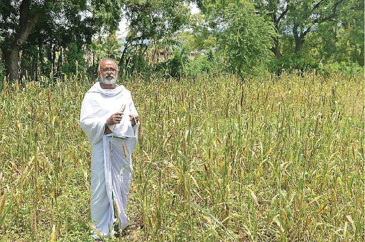 முத்து முருகன்